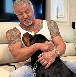 Stallone e il suo cane