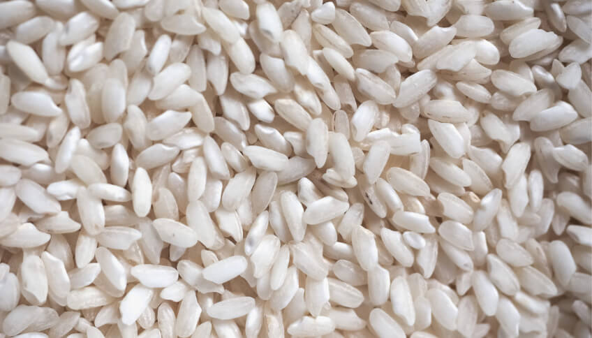 coltivazione del riso
