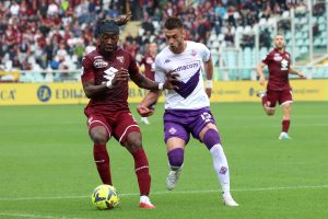 Torino Fiorentina 1-1