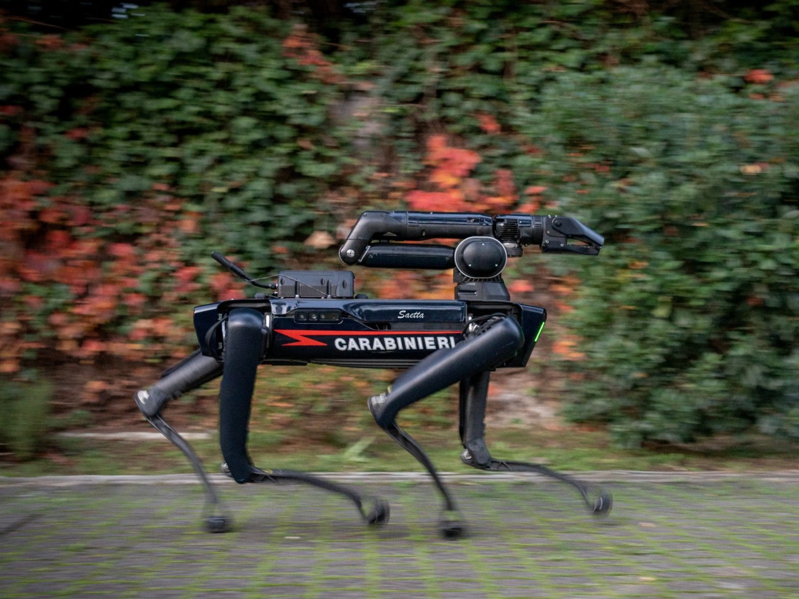 carabinieri cane robot 1