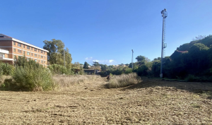 Campo Testaccio